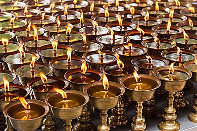 《真女神转生5》恶魔介绍视频 魔兽“猫妖”